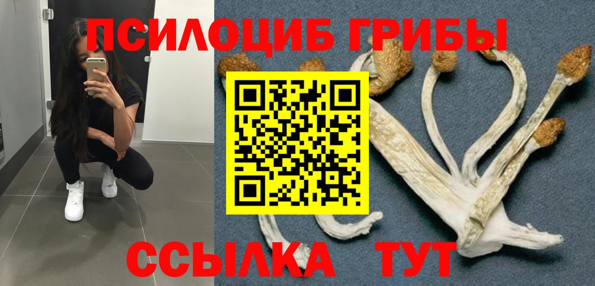 Псилоцибиновые грибы мицелий Углич