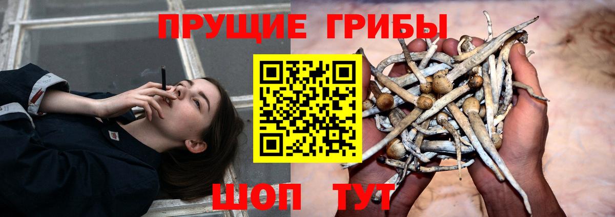 Псилоцибиновые грибы MAGIC MUSHROOMS  Вход с VPN  Галлюциногенные грибы ЛСД  купить  сайты  Углич 